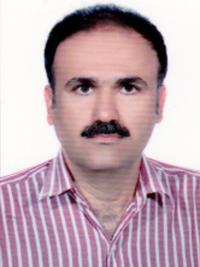 دکتر رضا محمدعلی پور