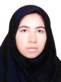 دکتر فهیمه فتحی