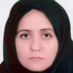 اعظم خانجانی خانی