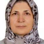 عطیه قوامی عادل