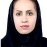 مینا میر