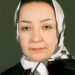 لادن میرمحسنی نمین