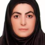 سیده نرگس عربی