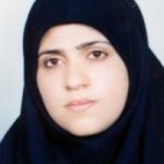 نرگس طالبی باغ ابریشمی