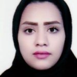 مهلا میر