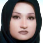 فرح ناز سلیمانی حمیدی نژاد