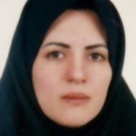 فریبا سیدمیر