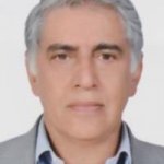 محمد ولی زادگان