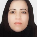 سیده نرگس هاشمی