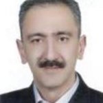 حسن منوری خیاوی