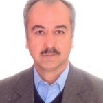 علی حسین زاده