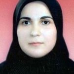 فریده مهندس صنایع