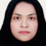 مریم میر