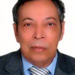 محمد ضیایی احمدی