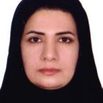 زهرا میر
