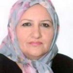 فروغ سلجوقی