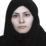 لادن نوحی
