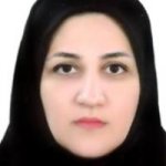 نرگس افضلی