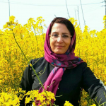 هایده ابطحی