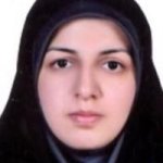 هانیه میرحسینی