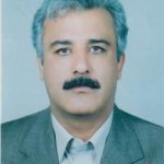 دکتر حمیدرضا نقیبی محمودآبادی