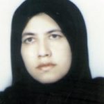 ویدا عزتی