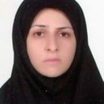 شبنم میربیگی