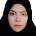 علی زاده نرمیقی