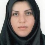 سیده شهره حسینی
