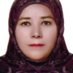 رقیه آقجه لو