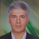محمد شیرازی