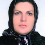 مریم علی نژادامیرخیز
