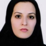 سمیه سادات حسینی دزکی