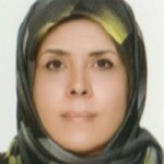 مائده فامیلی