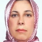 سودابه سودی