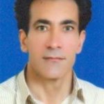 کرم داودی کشکولی