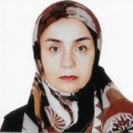 شادی بهگزین