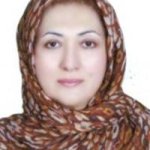 افسونگر حمیدی