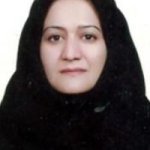 ویدا محمدی فرد