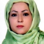 فاطمه حمیدی