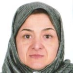 نیناکورین رز سهیلی