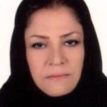 فاطمه شیخی مهرآبادی