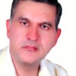 اصغر گلی مزرعه نو