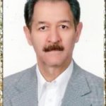 ناصرعلی حمیدی