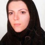 سیروان شیخی
