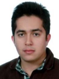 دکتر حمیدرضا ارباب