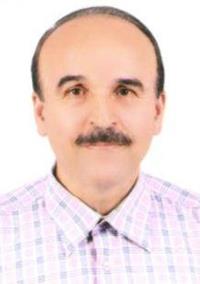 دکتر حمیدرضا طالب پورامیرهنده