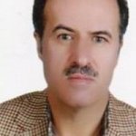 هادی محسن پور