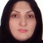 افسانه شنکنی