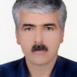 محسن مجیدی